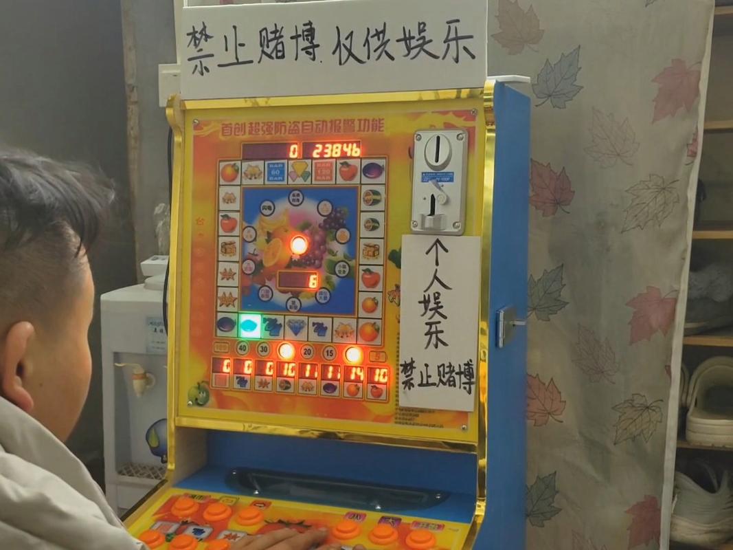 PG真人旺旺旺2攻略全面解析玩法节奏与得分技巧